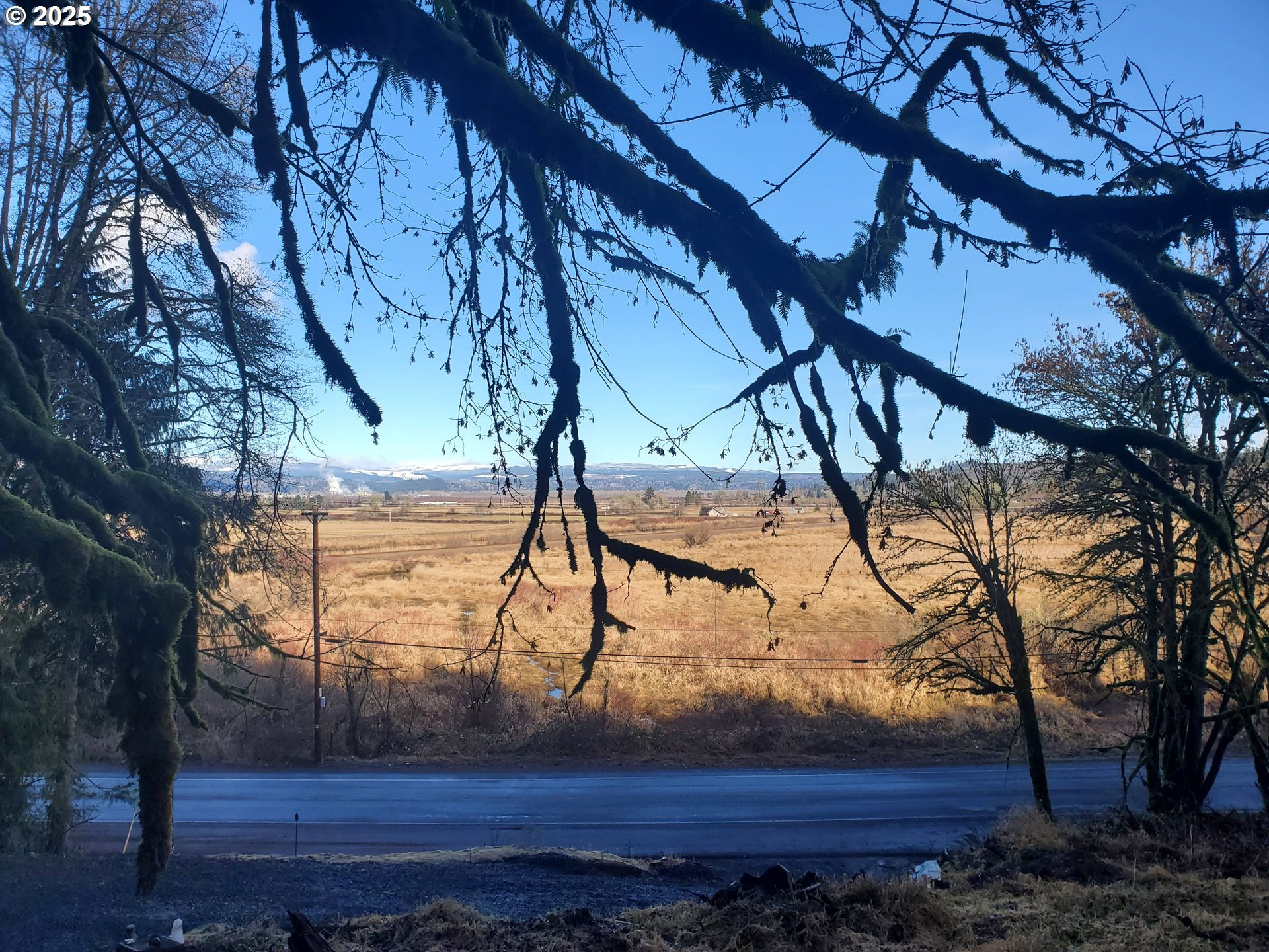 Beaver Falls Road Clatskanie, OR 97016 - Photo 14 of 30