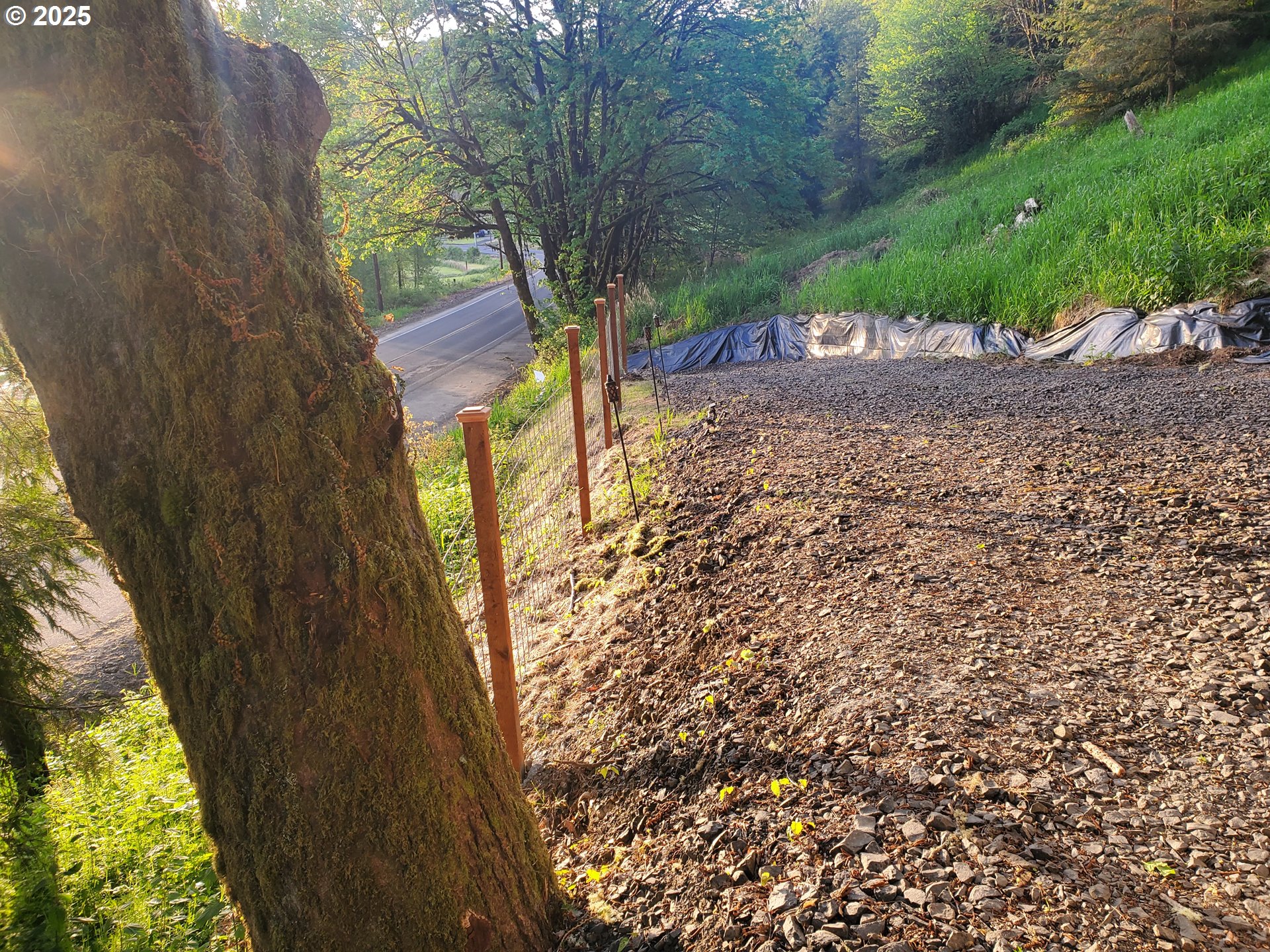 Beaver Falls Road Clatskanie, OR 97016 - Photo 17 of 30