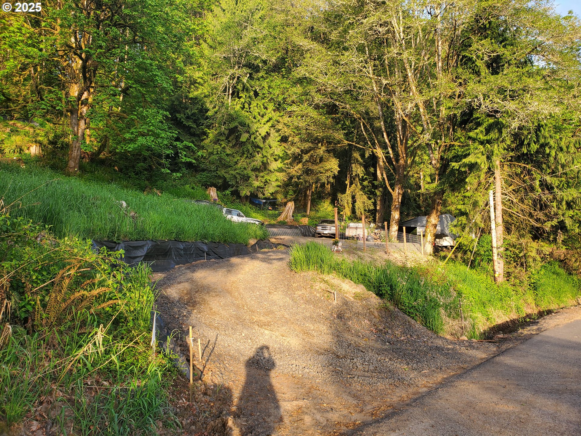 Beaver Falls Road Clatskanie, OR 97016 - Photo 21 of 30