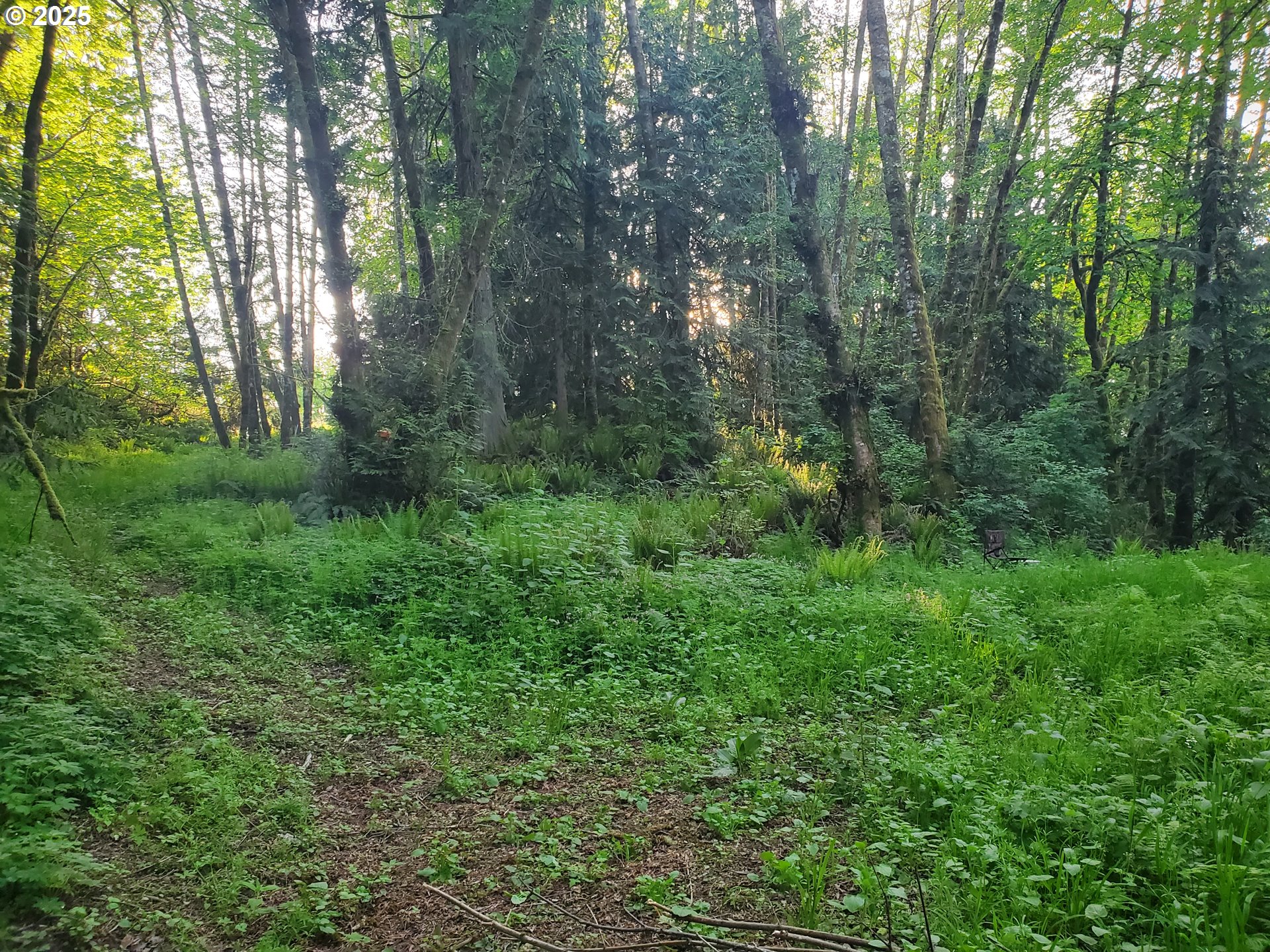 Beaver Falls Road Clatskanie, OR 97016 - Photo 26 of 30