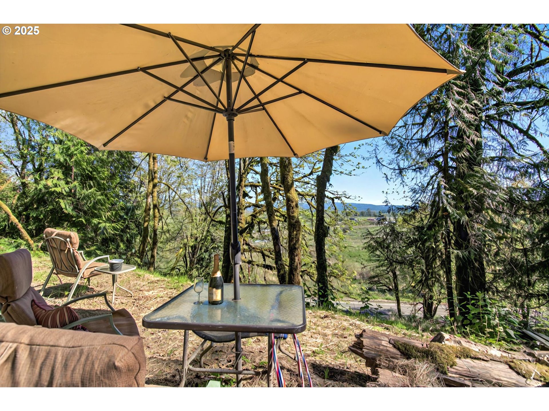 Beaver Falls Road Clatskanie, OR 97016 - Photo 6 of 30