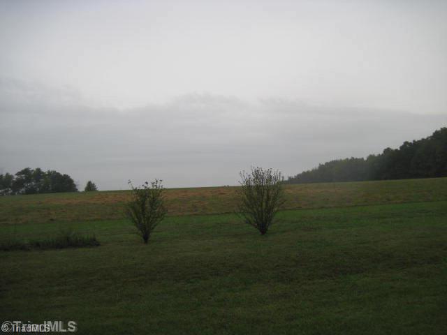 0 Brame Road Reidsville, NC 27320 - Photo 2 of 3 Land.