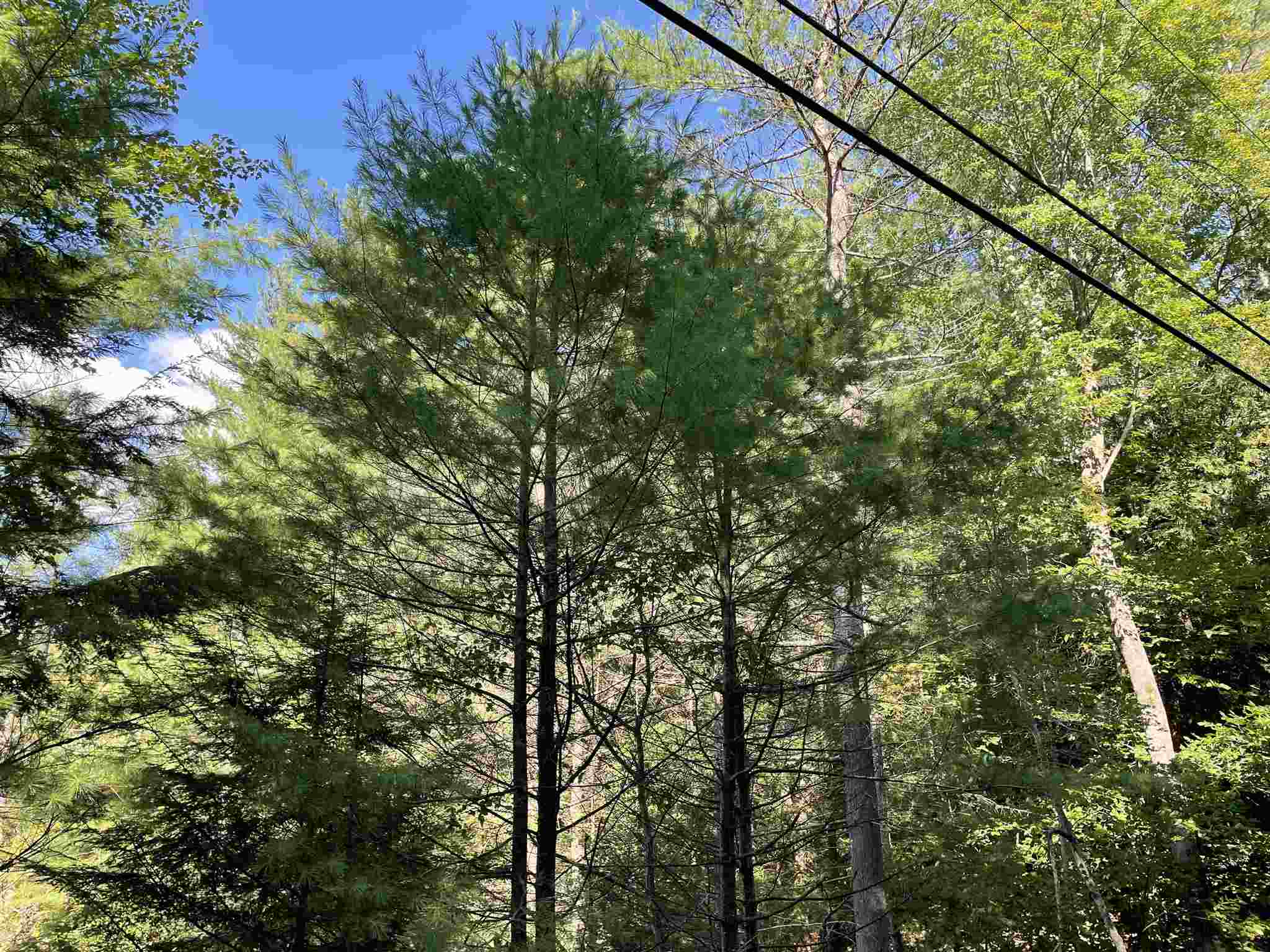 0 Farrington Corner Road, Unit 49 Hopkinton, NH 03229 - Photo 11 of 15