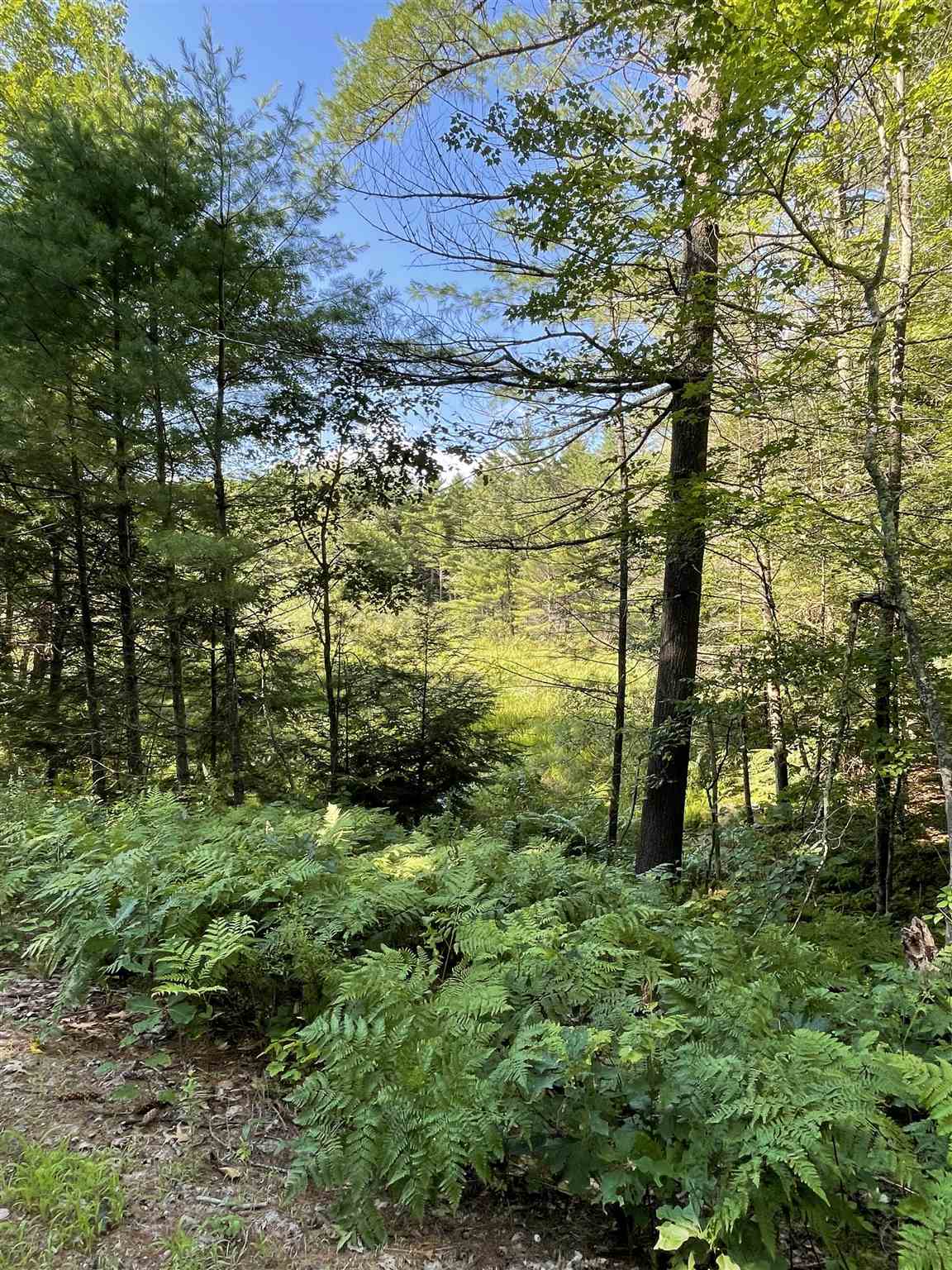 0 Farrington Corner Road, Unit 49 Hopkinton, NH 03229 - Photo 6 of 15