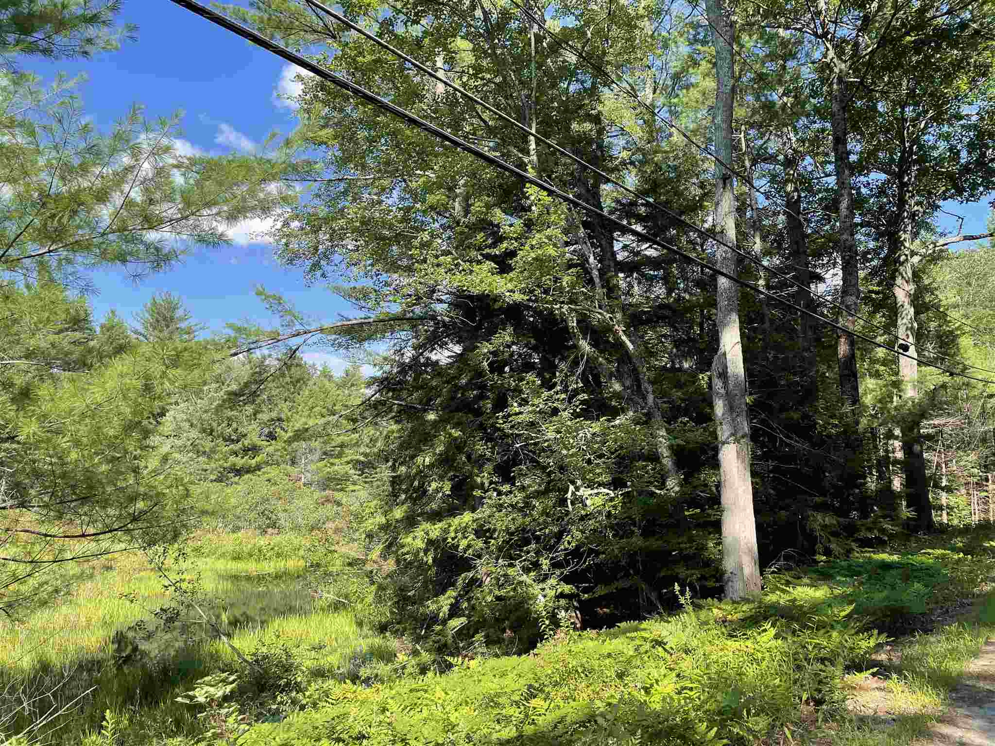 0 Farrington Corner Road, Unit 49 Hopkinton, NH 03229 - Photo 10 of 15