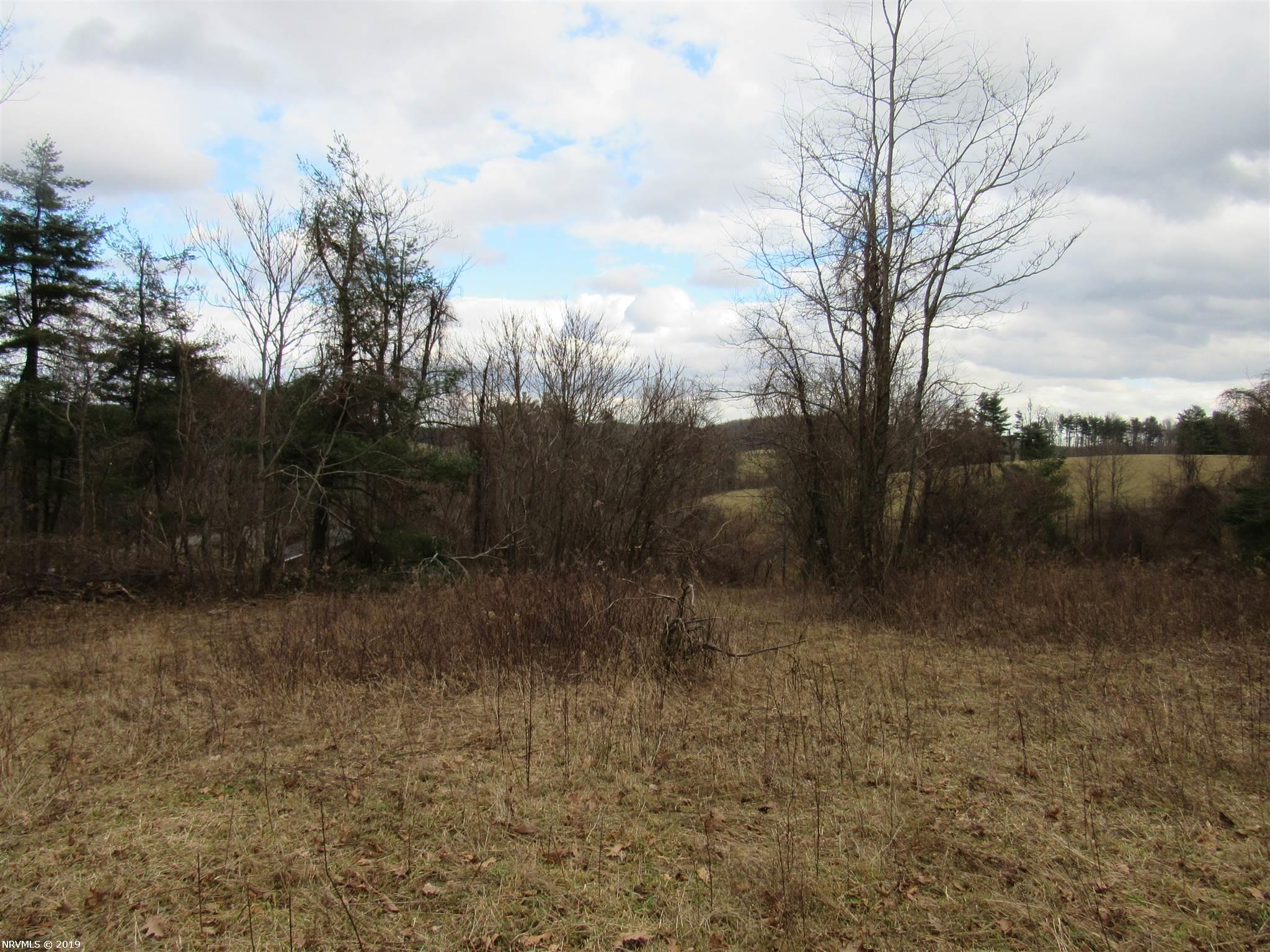 Tbd Conner Road Northeast Copper Hill, VA 24079 - Photo 13 of 22 Gallery Image 13