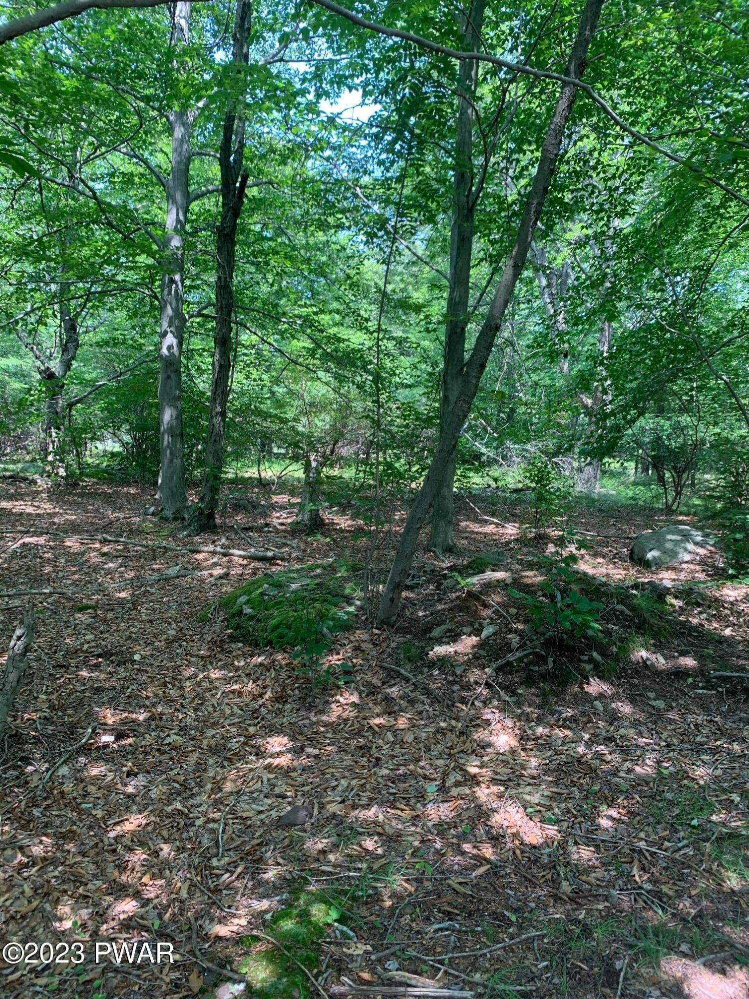 128 Cherry Point Circle Canadensis, PA 18325 - Photo 38 of 40