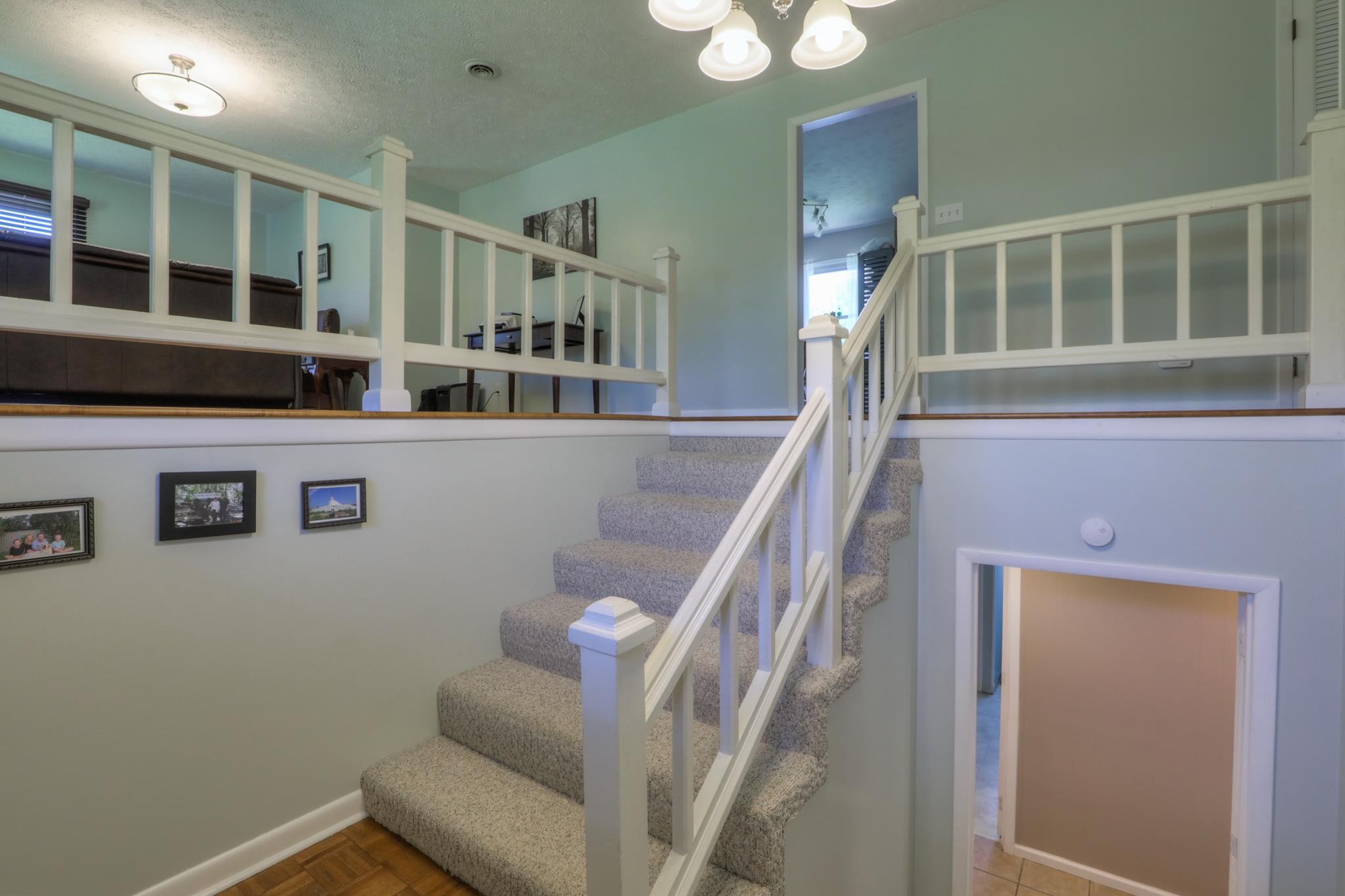 313 Rolling Acres Road Smithville, TN 37166 - Photo 3 of 30 Gallery Image 3
