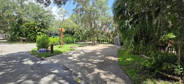 a view of a park with a tree