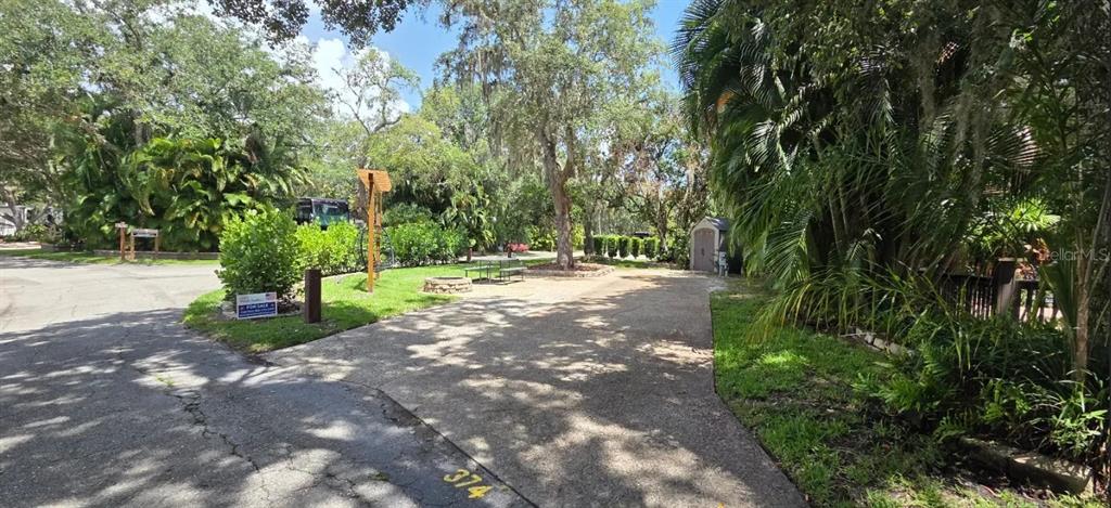 a view of a park with a tree
