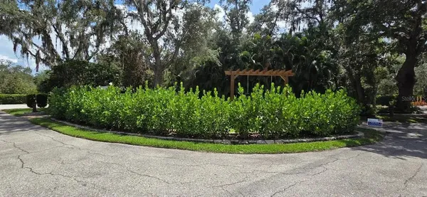 a view of a garden