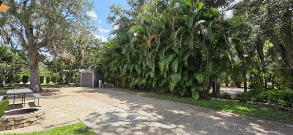 a view of outdoor space with deck and tree