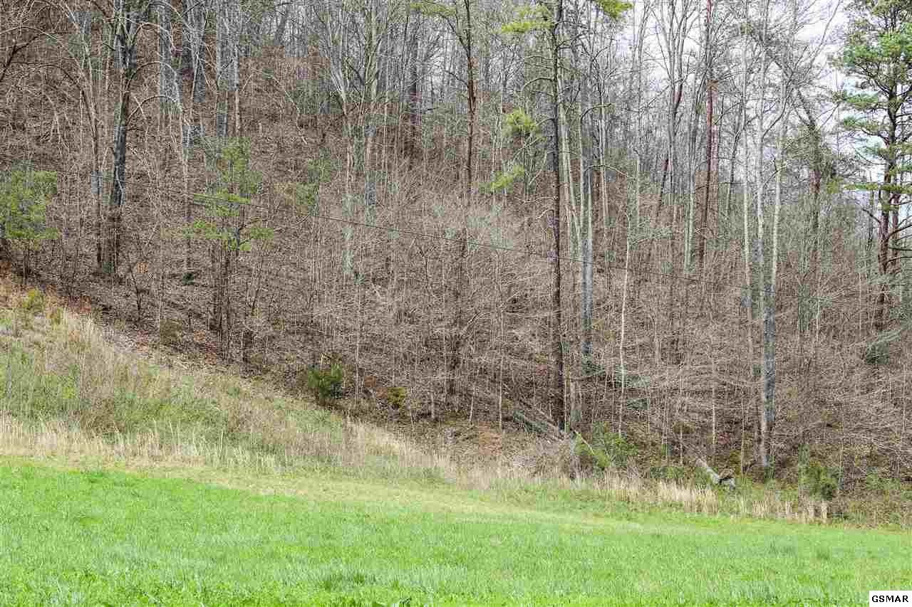 1940 Long Branch Road Seymour, TN 37865 - Photo 20 of 35 Gallery Image 20
