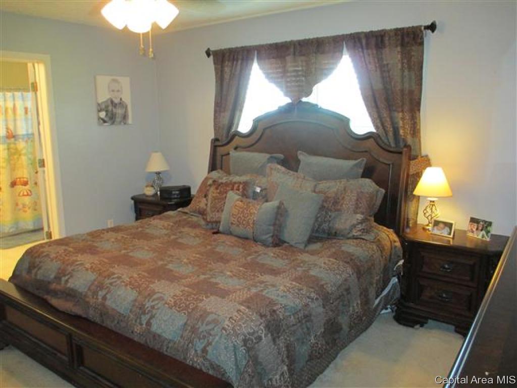 882 Water Tower Road Jacksonville, IL 62650 - Photo 15 of 15