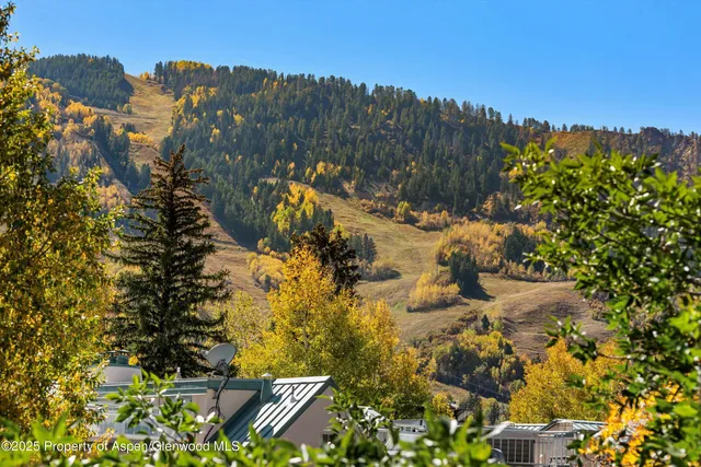 $9,500 | 725 East Main Street, Unit 309, Aspen, CO 81611