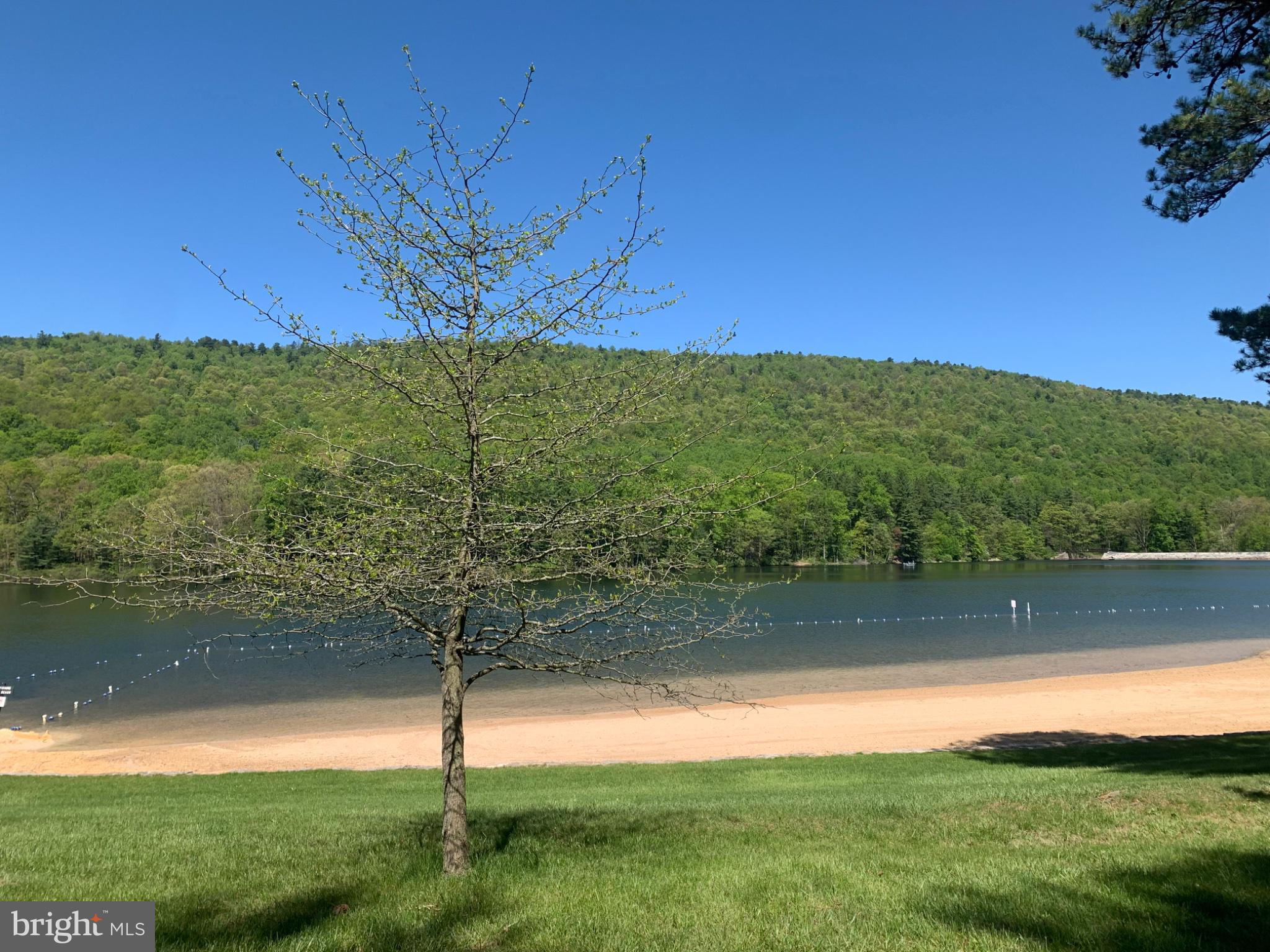 5547 Fox Road Fort Loudon, PA 17224 - Photo 26 of 27 Tranquil lakeside view in springtime.