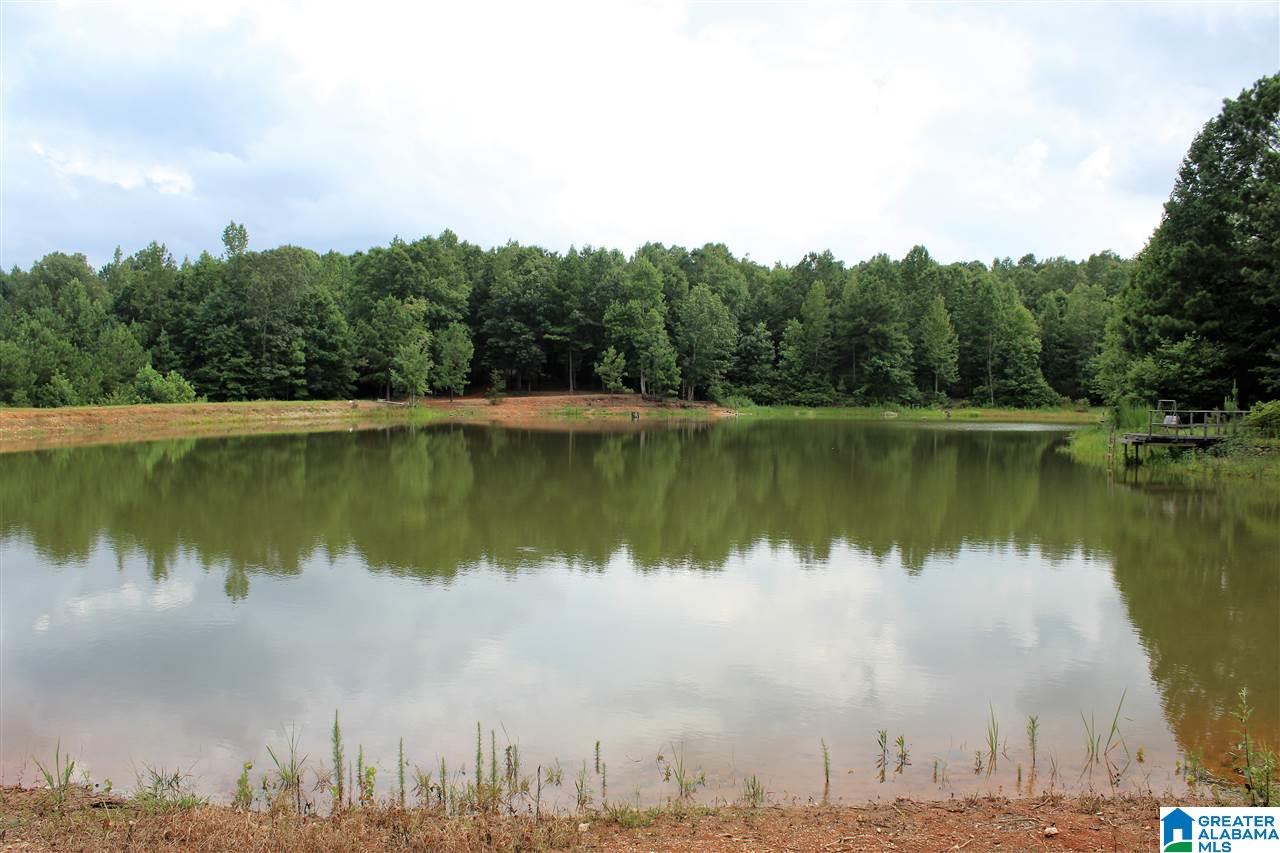 801 County Road 928 Delta, AL 36258 - Photo 32 of 34
