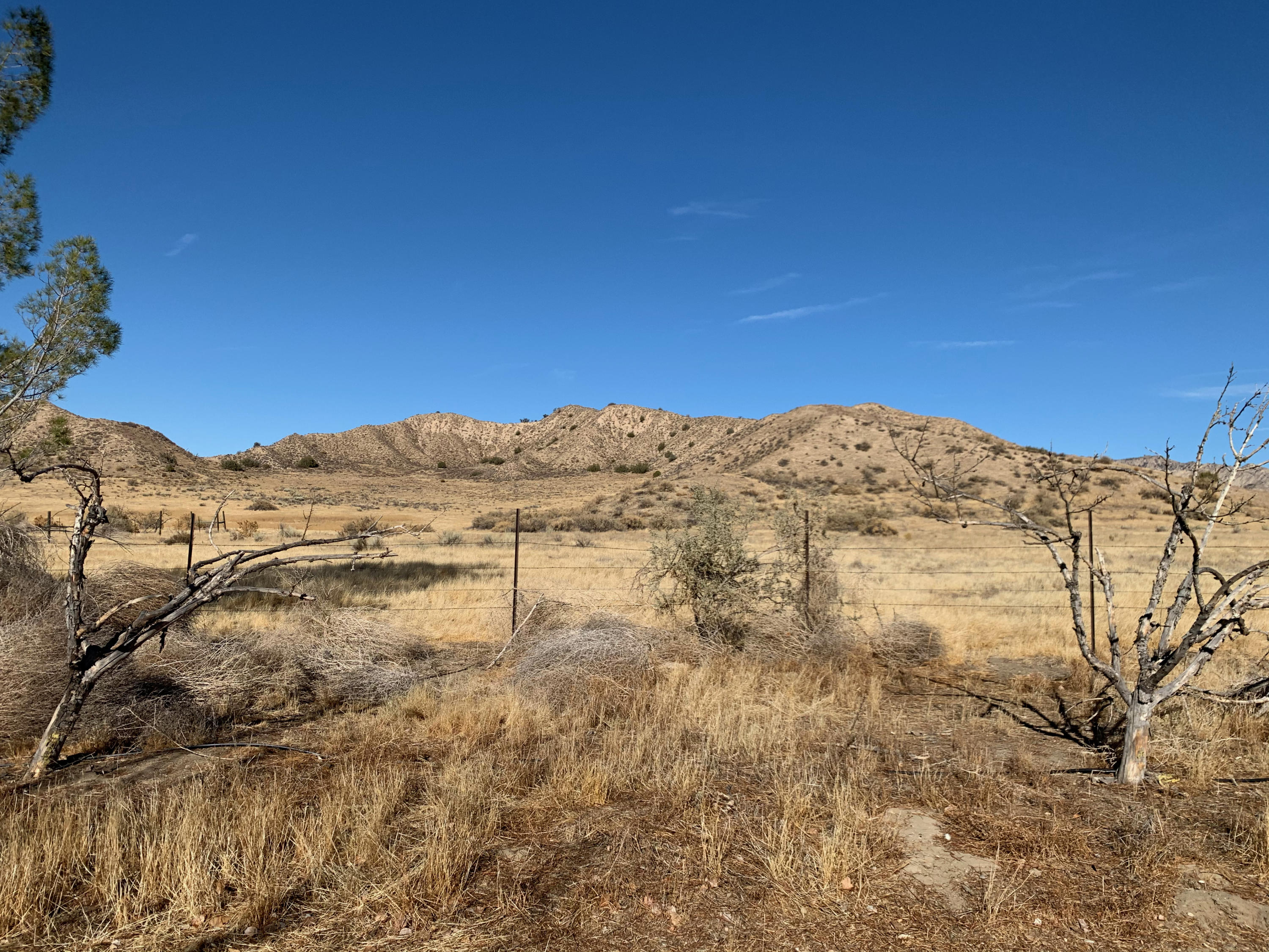 6974 Quatal Canyon Road Maricopa, CA 93252 - Photo 13 of 20 IMG_3073