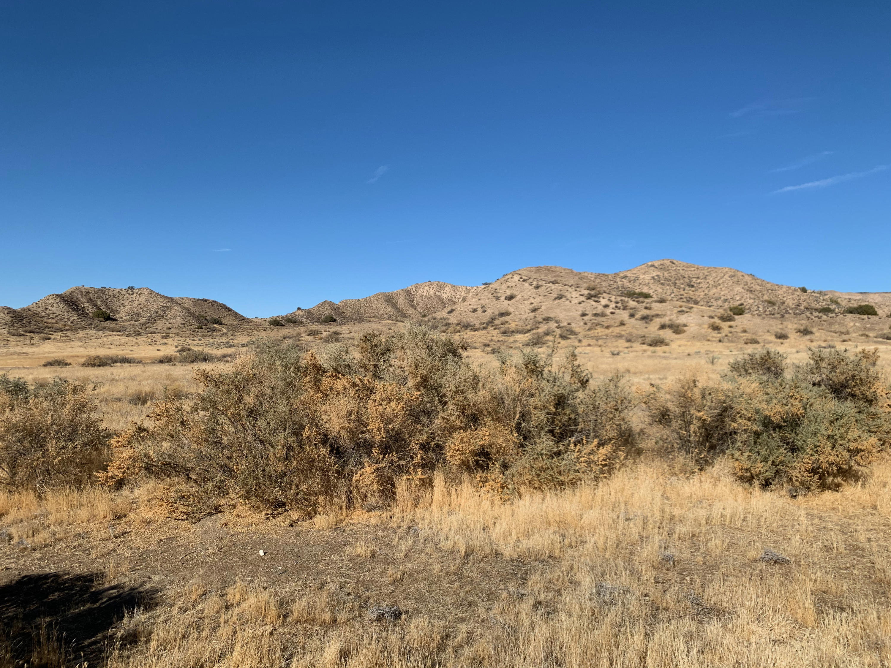 6974 Quatal Canyon Road Maricopa, CA 93252 - Photo 16 of 20 IMG_3078