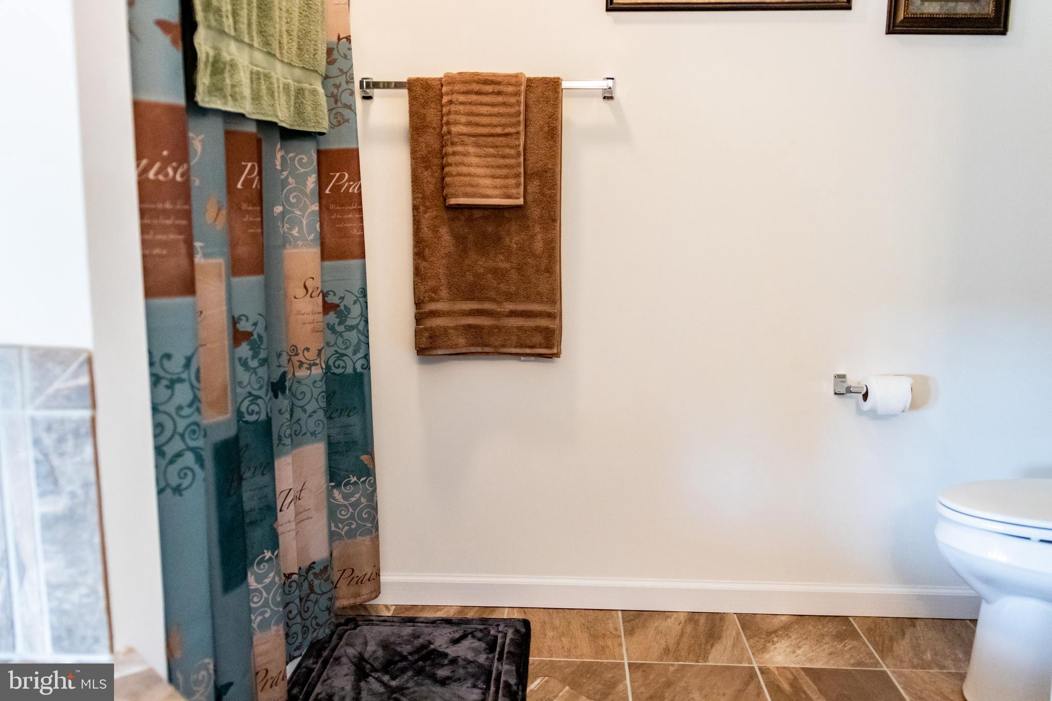 108 Vista Loop Hanover, PA 17331 - Photo 19 of 31 Shower in Master bath