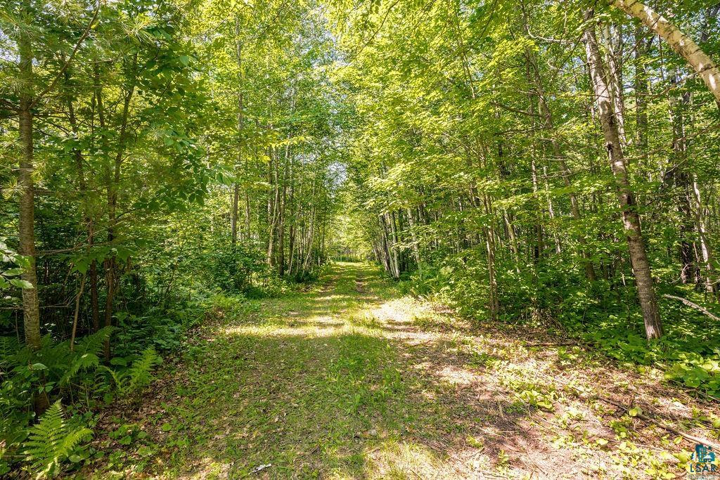 2592 Strandberg Road Barnum, MN 55707 - Photo 16 of 44 Wooded path bordered by lush foliage