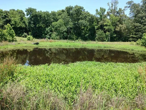 a view of a lake with a yard