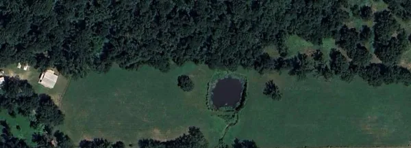 a view of a lake in a forest