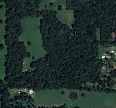 a view of a garden