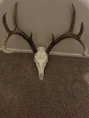 a bathroom with a granite countertop sink and mirror