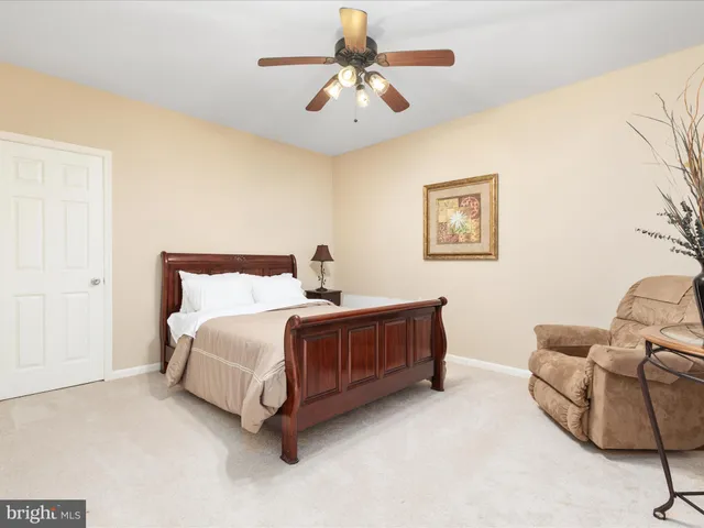 a view of a forest with trees