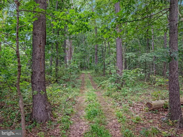 $1,845,000 | 254 Carte Lane, Mount Jackson, VA 22842