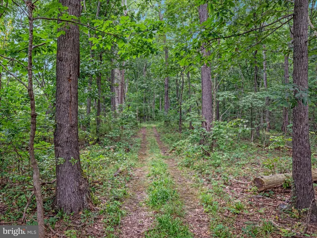 $1,845,000 | 254 Carte Lane, Mount Jackson, VA 22842