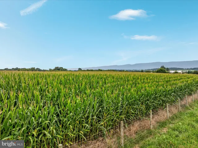 $1,845,000 | 254 Carte Lane, Mount Jackson, VA 22842