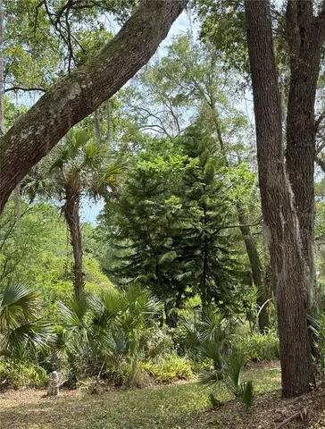 a view of a field with an trees in the background