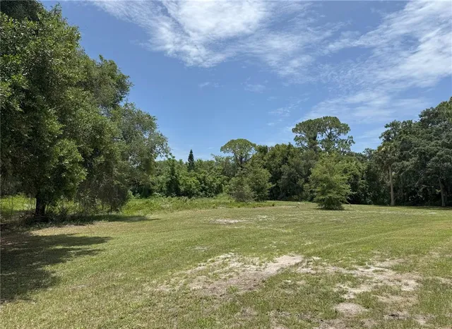 a view of a green field