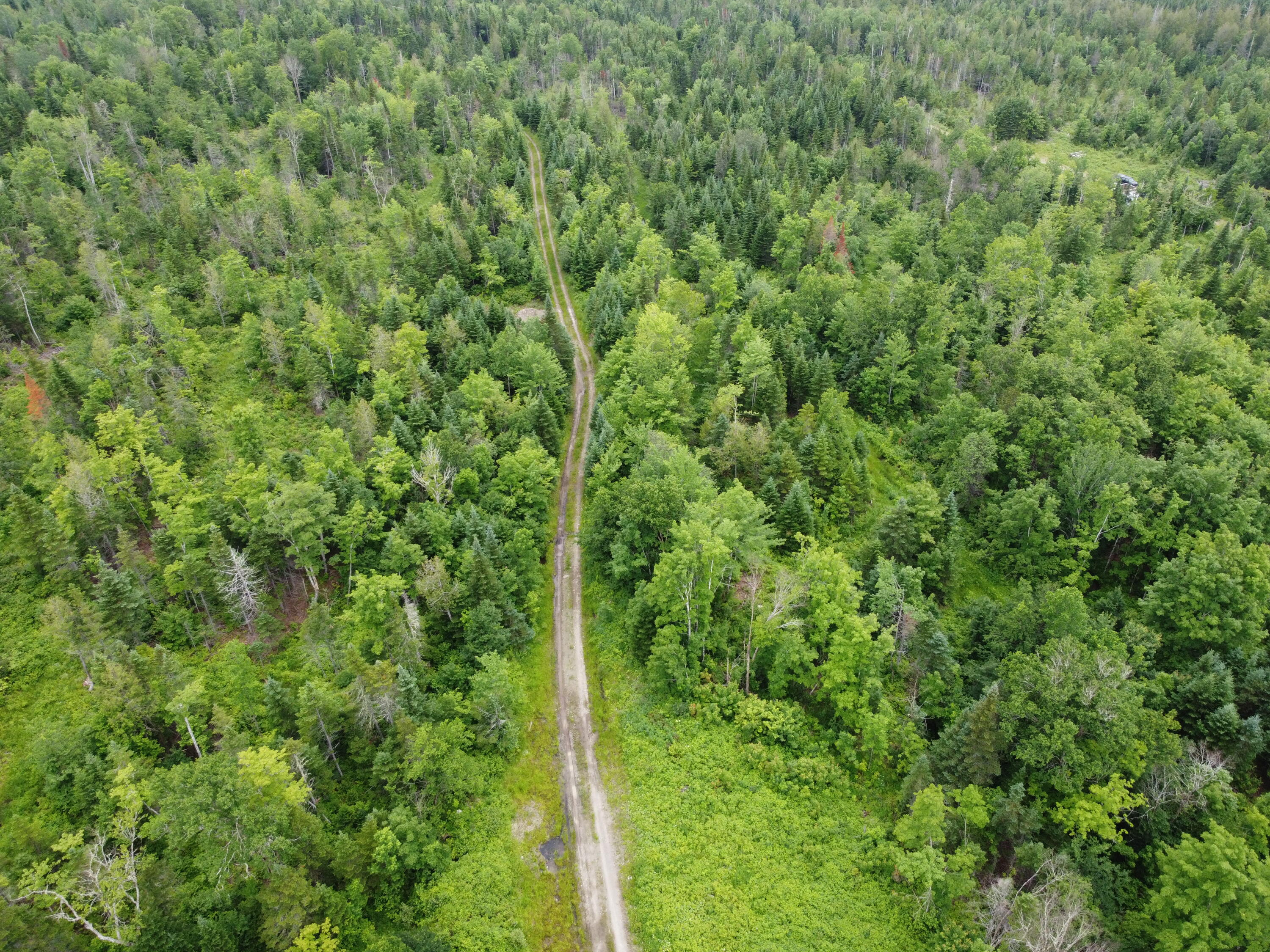 M7-l14 High Meadow Road Perham, ME 04766 - Photo 17 of 22 DJI_0623