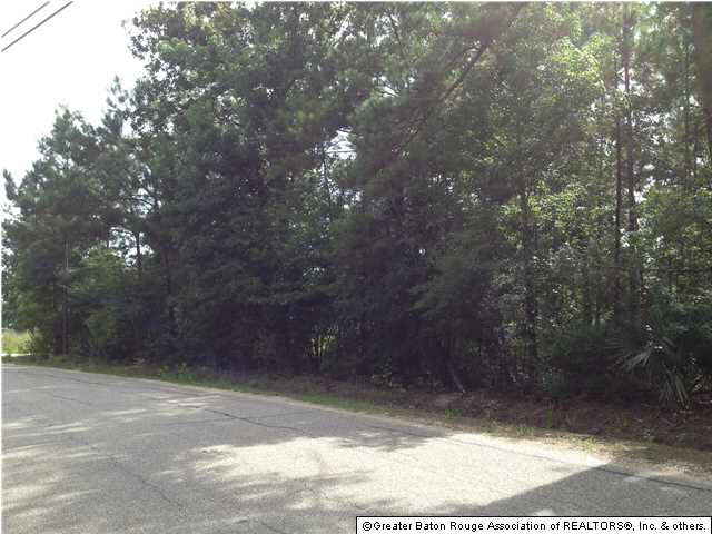 20459 Perrilloux Road Livingston, LA 70754 - Photo 1 of 7 Gallery Image 1