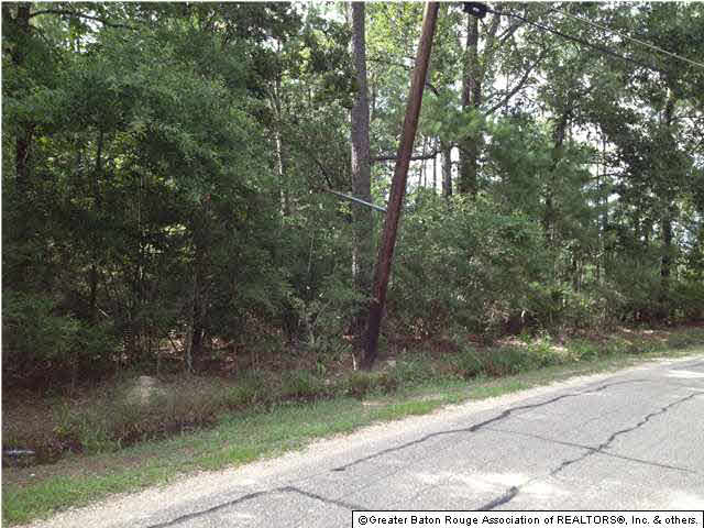 20459 Perrilloux Road Livingston, LA 70754 - Photo 2 of 7 Gallery Image 2