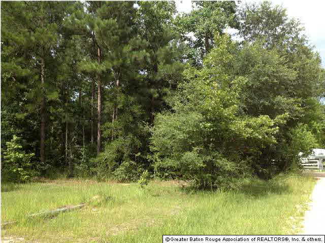 20459 Perrilloux Road Livingston, LA 70754 - Photo 3 of 7 Gallery Image 3