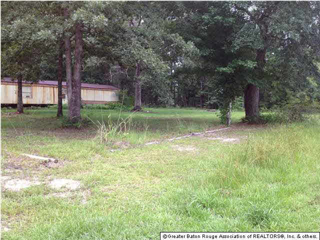 20459 Perrilloux Road Livingston, LA 70754 - Photo 5 of 7 Gallery Image 5