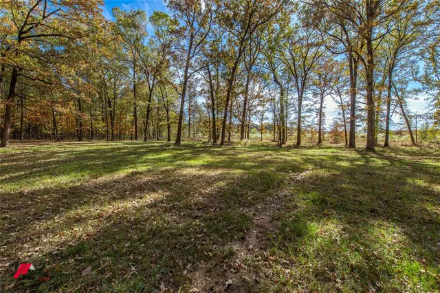 a big yard with trees