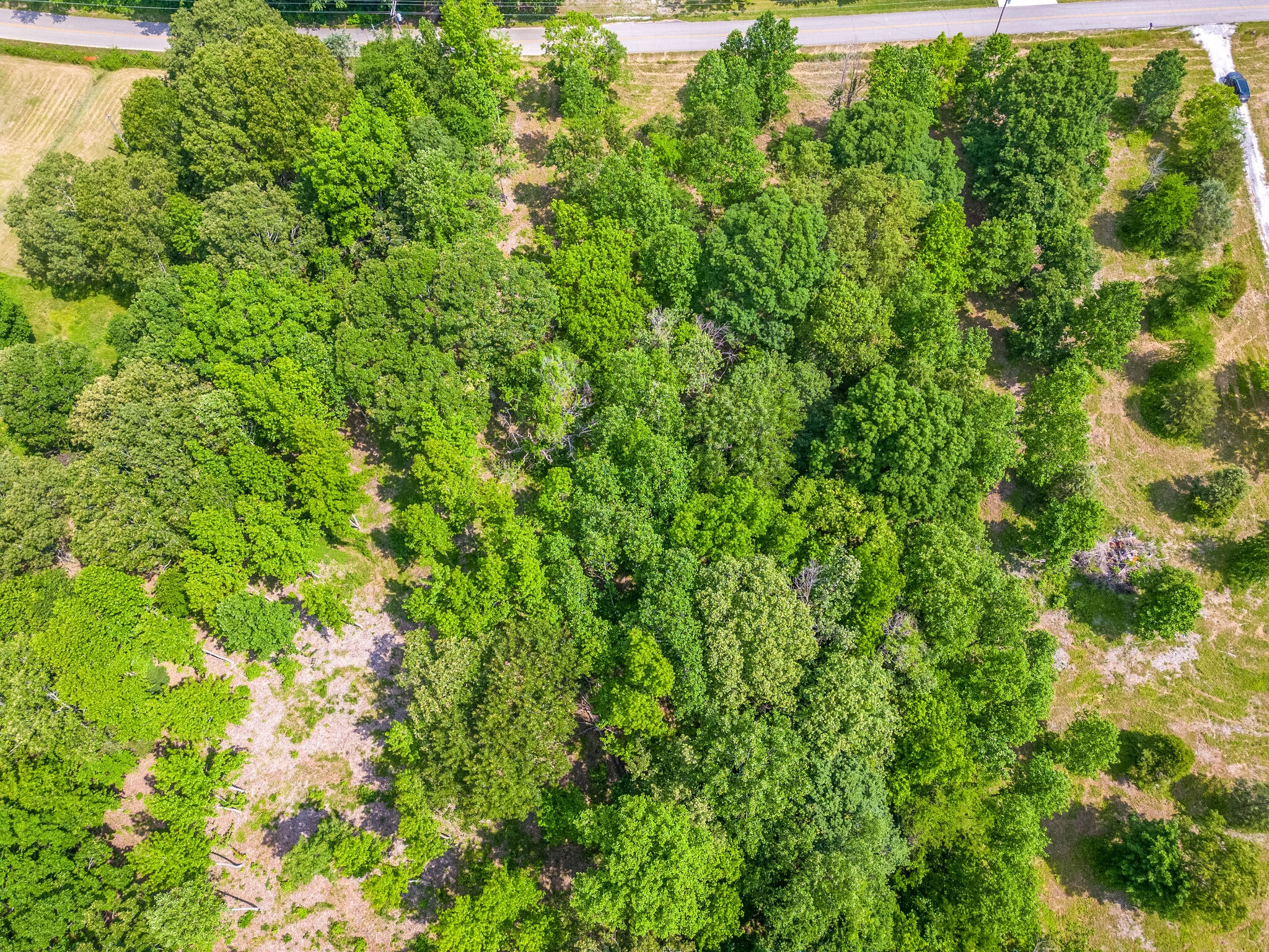 0 Promise Land Road Charlotte, TN 37036 - Photo 8 of 8 Gallery Image 8