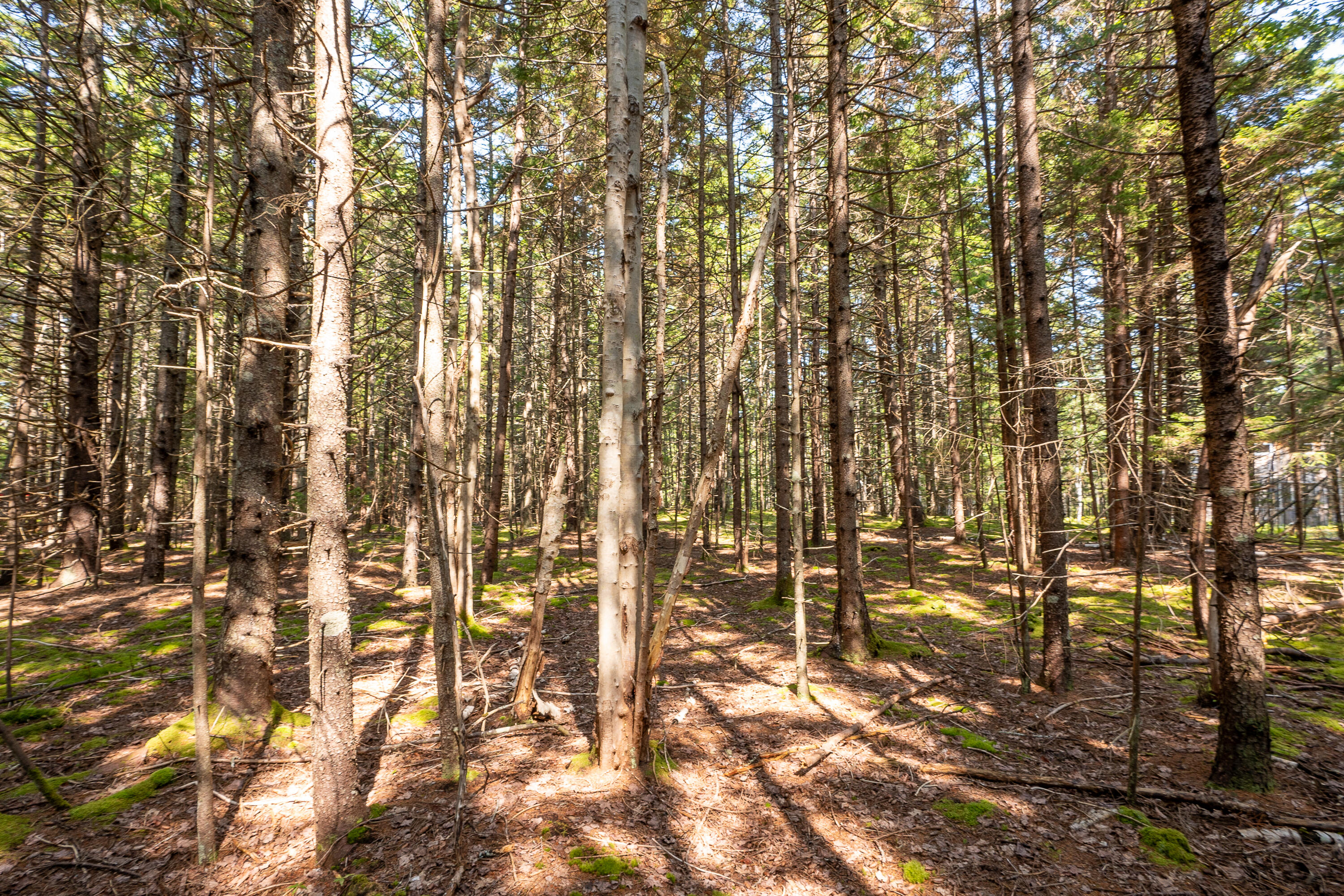 Lot 11 Nahanada Road Bristol, ME 04554 - Photo 9 of 18 18-Lot 11 Nahanada Rd-18