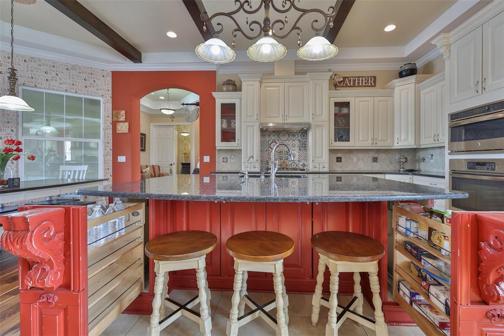 10517 Tarpon Springs Road Odessa, FL 33556 - Photo 32 of 54