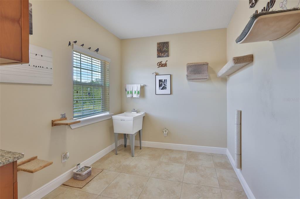 10517 Tarpon Springs Road Odessa, FL 33556 - Photo 37 of 54