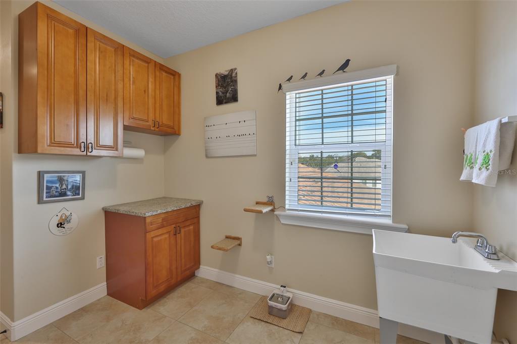 10517 Tarpon Springs Road Odessa, FL 33556 - Photo 38 of 54