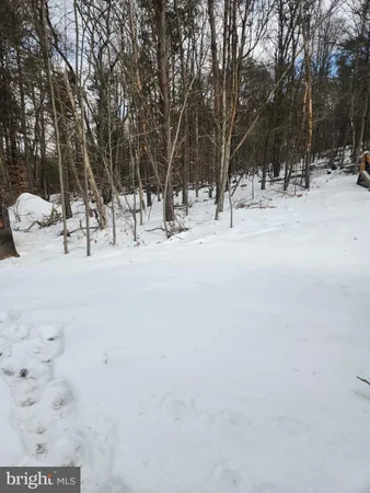 $515,900 | 1929 Dunkleberger Road, Elliottsburg, PA 17024