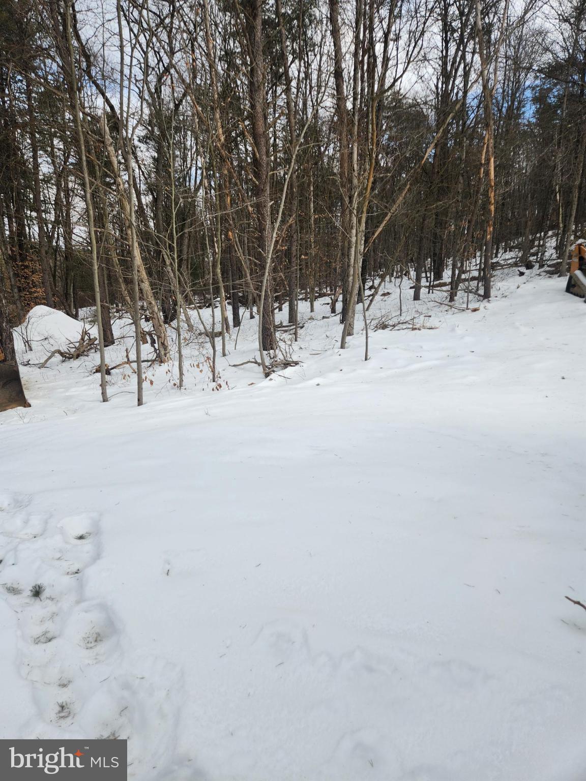 1929 Dunkleberger Road Elliottsburg, PA 17024 - Photo 47 of 48 a view of road with trees