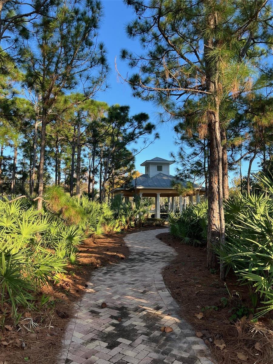 184 West Bay Cedar Circle Jupiter, FL 33458 - Photo 46 of 49 a view of a pathway with a tree