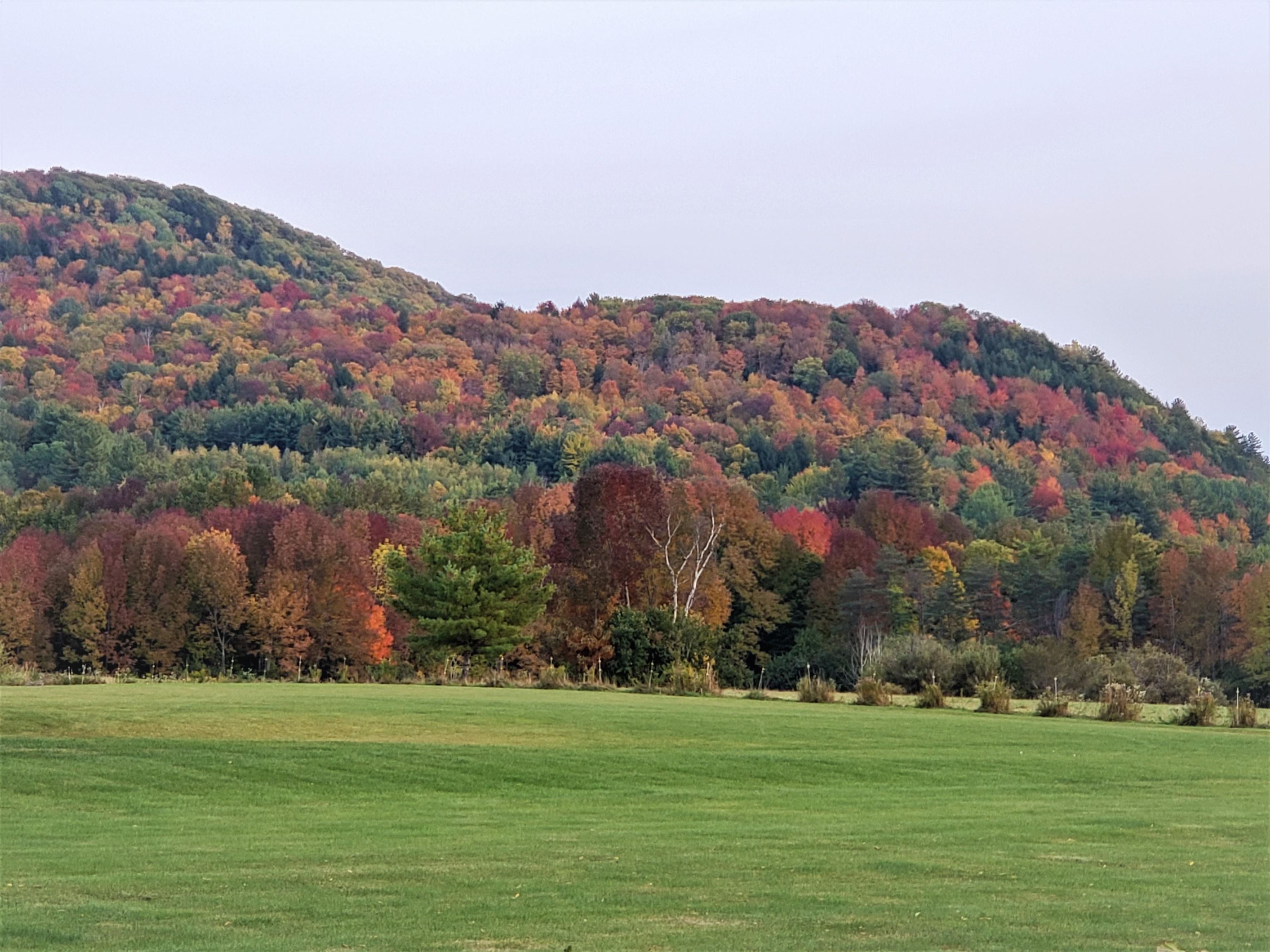 417 Sierra Lavin Road Barre Town, VT 05641 - Photo 40 of 40